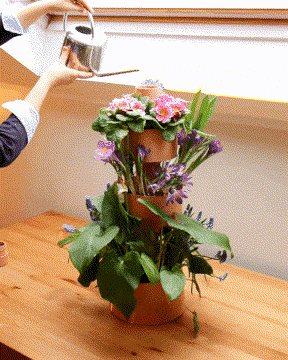 Garden Stack self-watering system in action